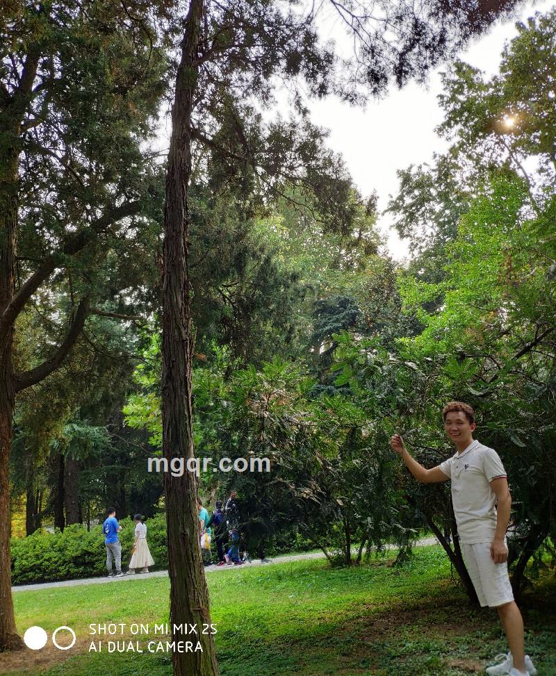 初心不改的第2张照片