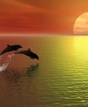 娅茹的第2张照片