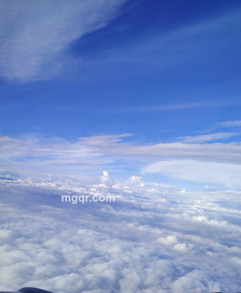 钟华.的第1张照片