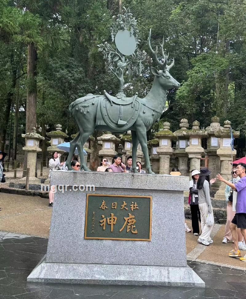 苍狼的第1张照片