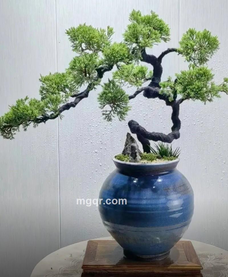 侠骨柔情会员5443771的第11张照片