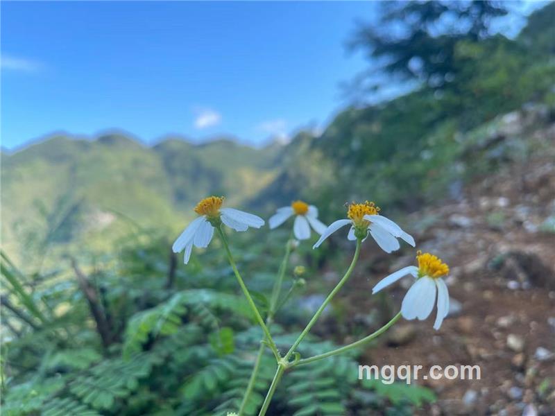 小妖的第2张照片