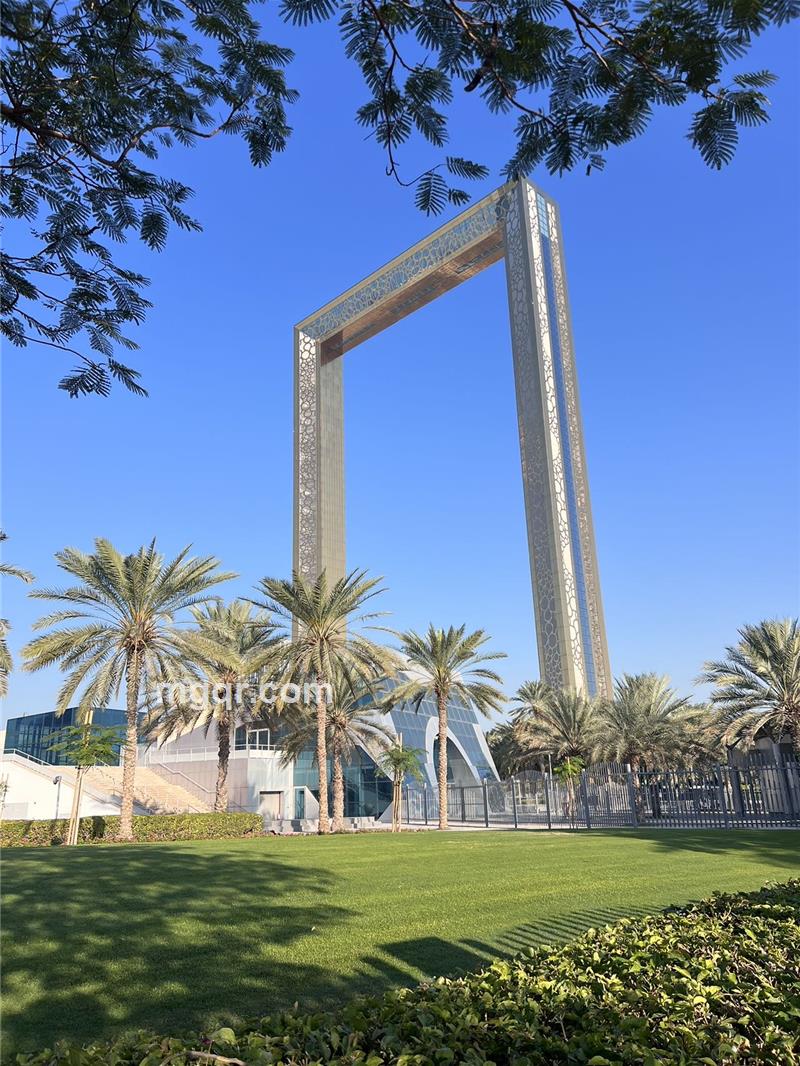 老浪的第7张照片