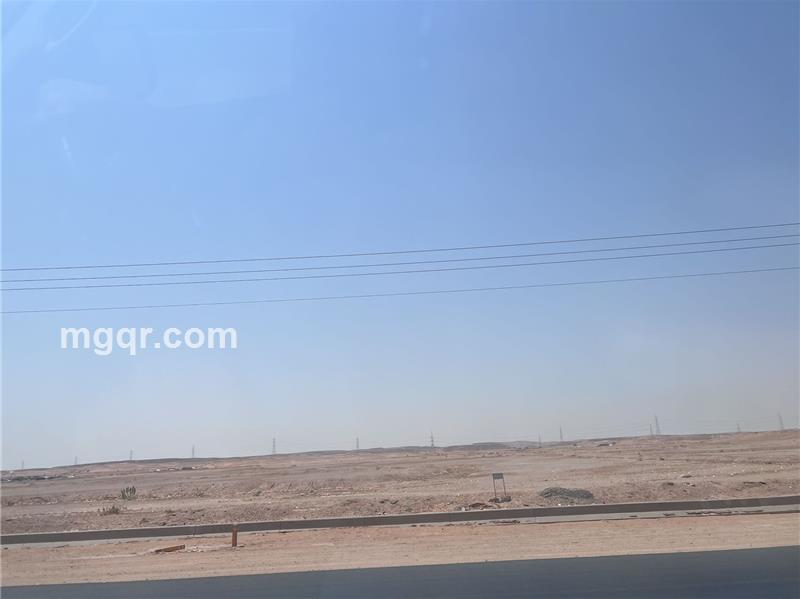 老浪的第4张照片