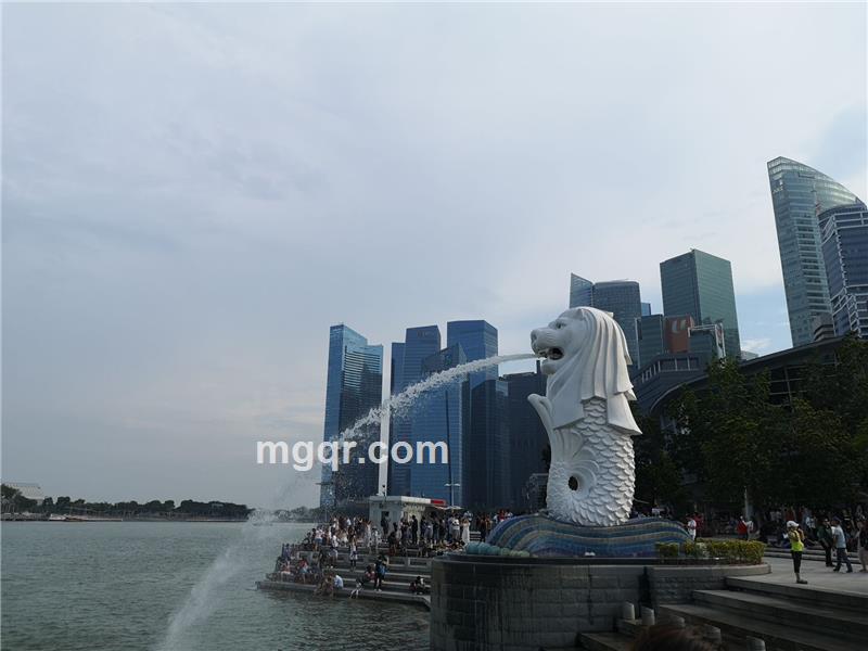 老浪的第2张照片