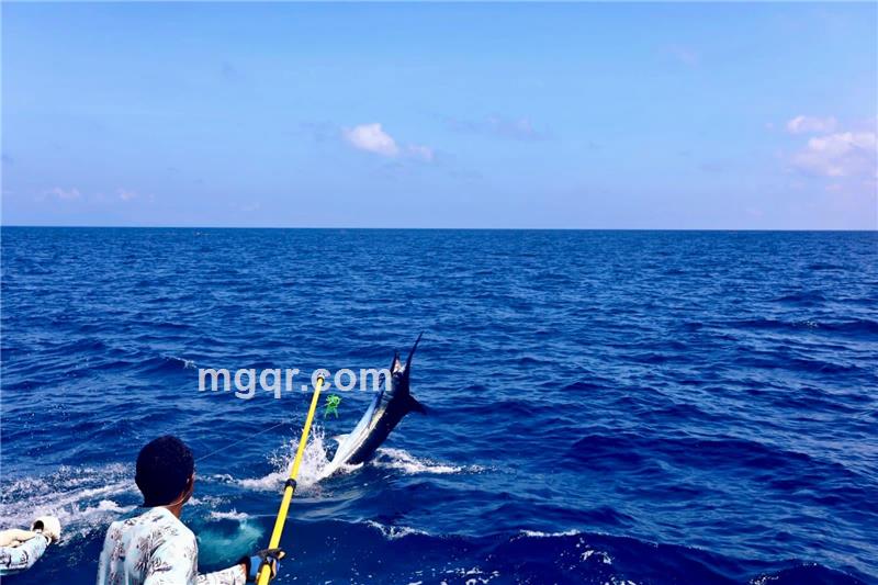 老浪的第1张照片