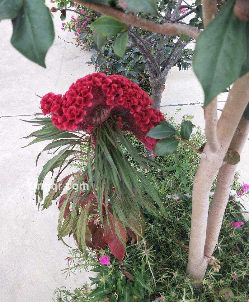 乐喜的第4张照片