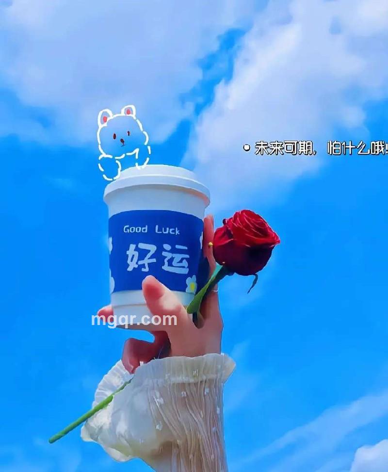 飞翔的天鹅的第2张照片