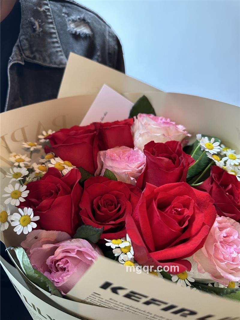 夏夜微风的第1张照片