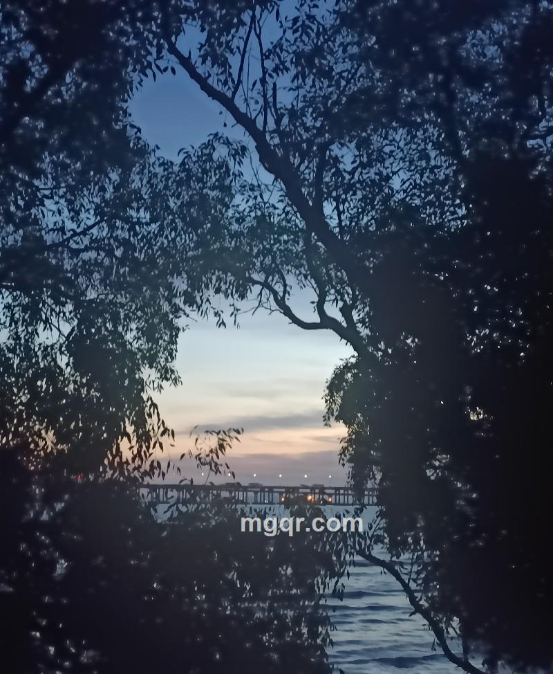 小帅会do的第2张照片