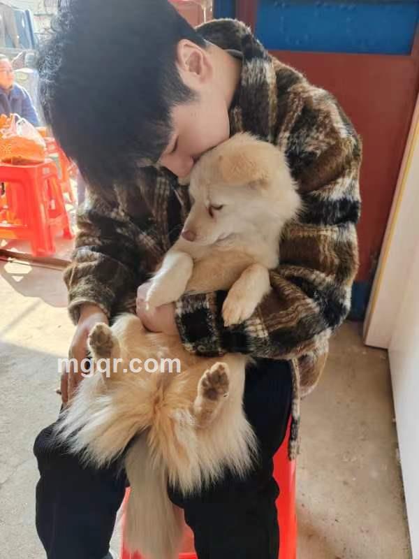 Qiang的第1张照片