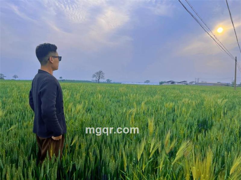 会员5460314的第3张照片