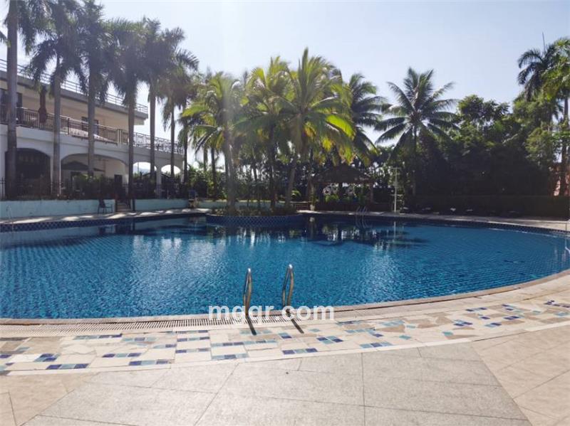 一米阳光的第3张照片