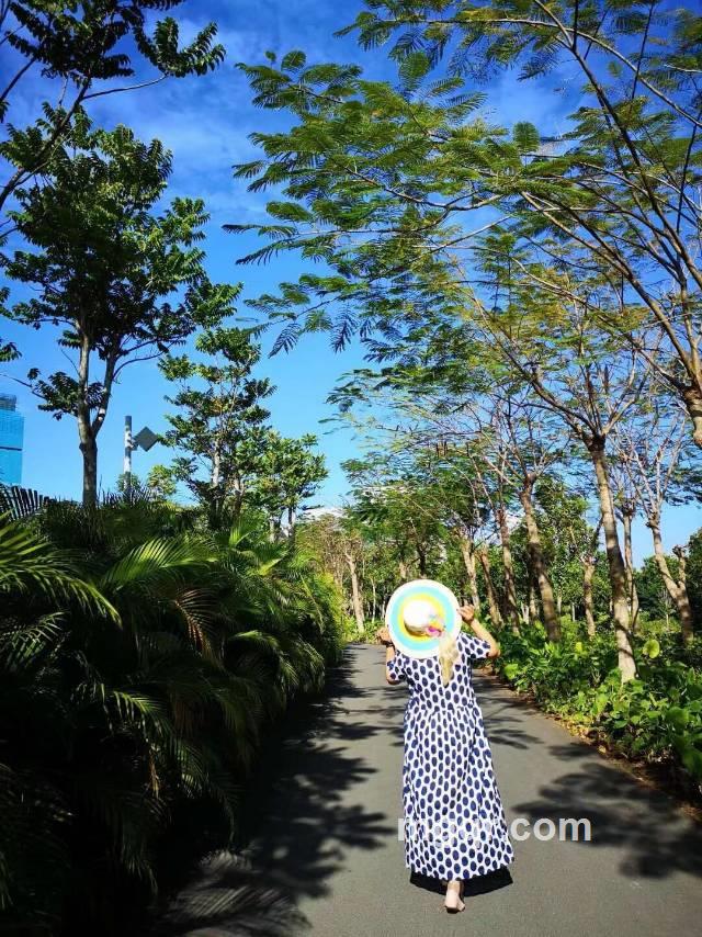 一米阳光的第1张照片