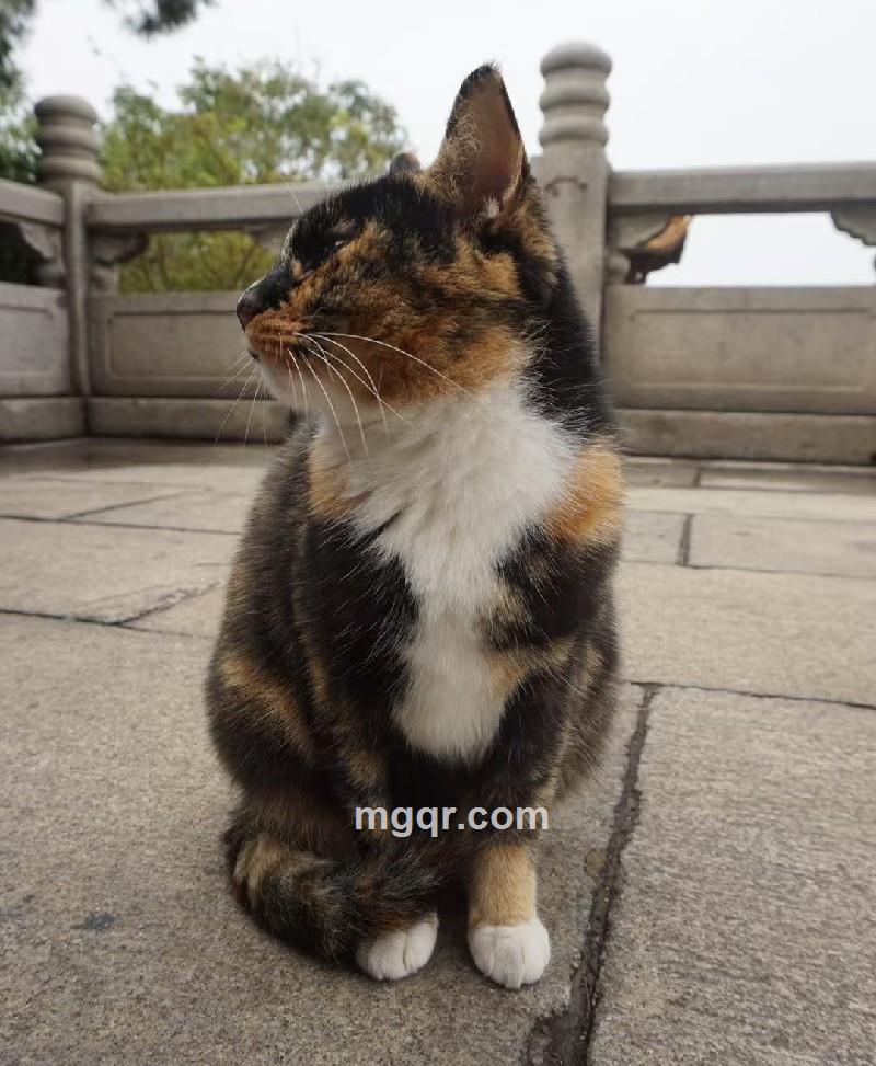 会员5463024的第2张照片