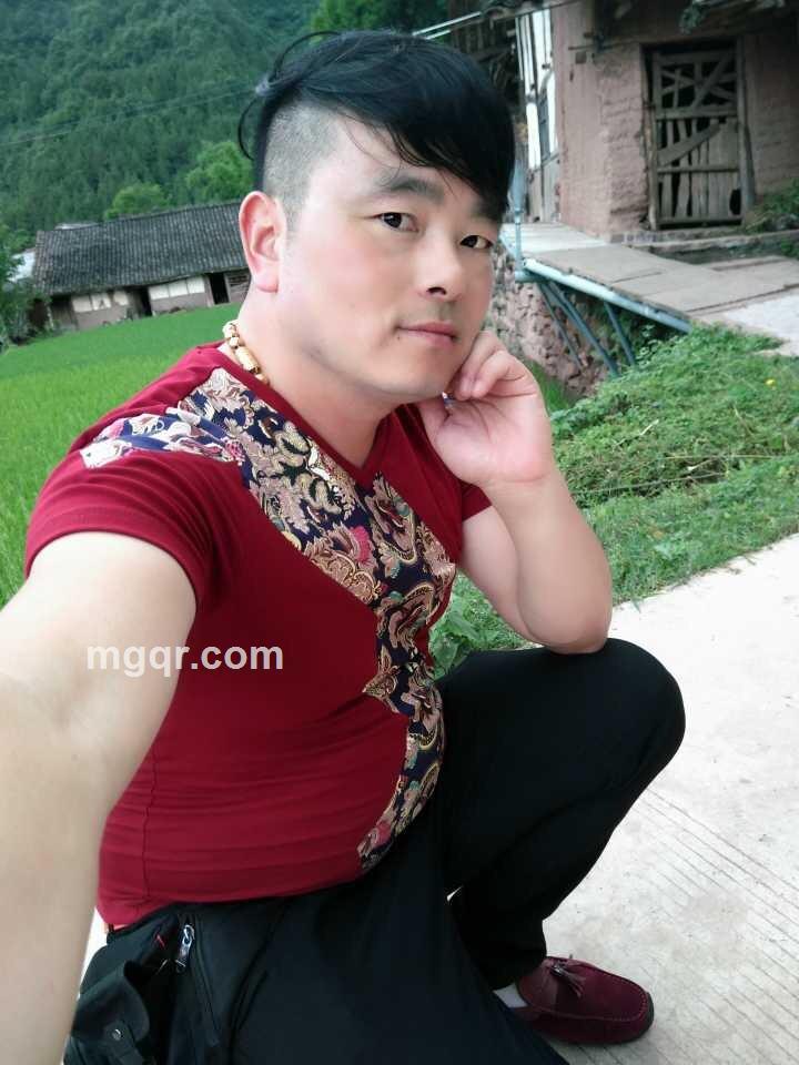 石榴花的第2张照片