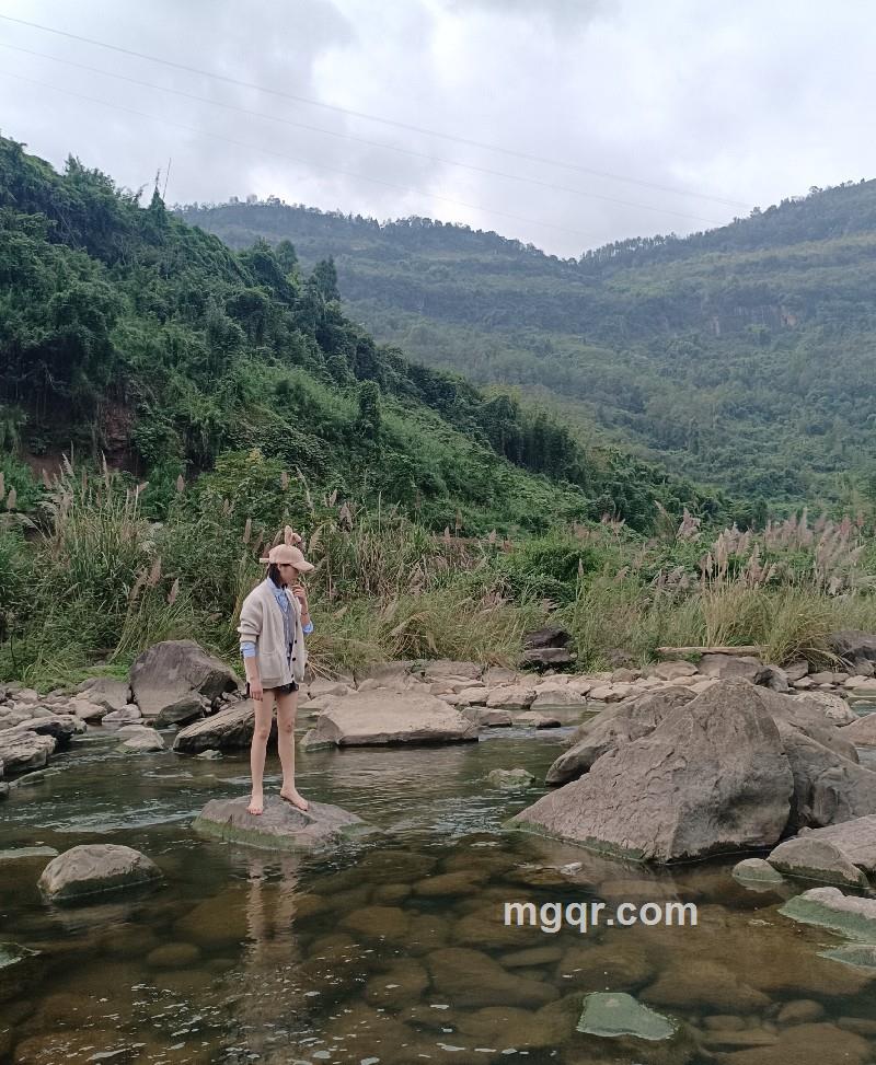 羊了个羊的第1张照片