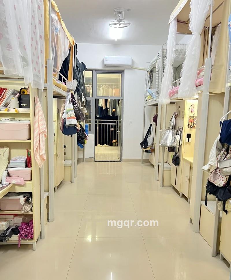 半夏时光的第4张照片