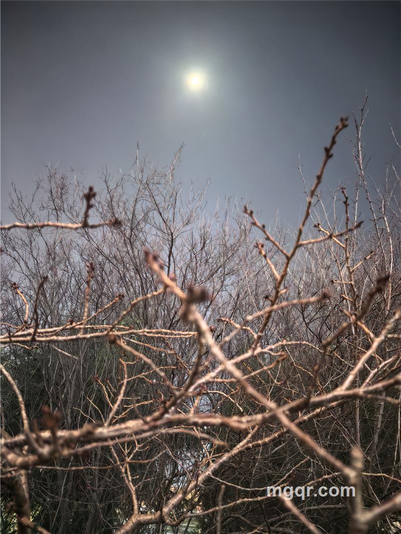 股市提款机-财富自由的第2张照片