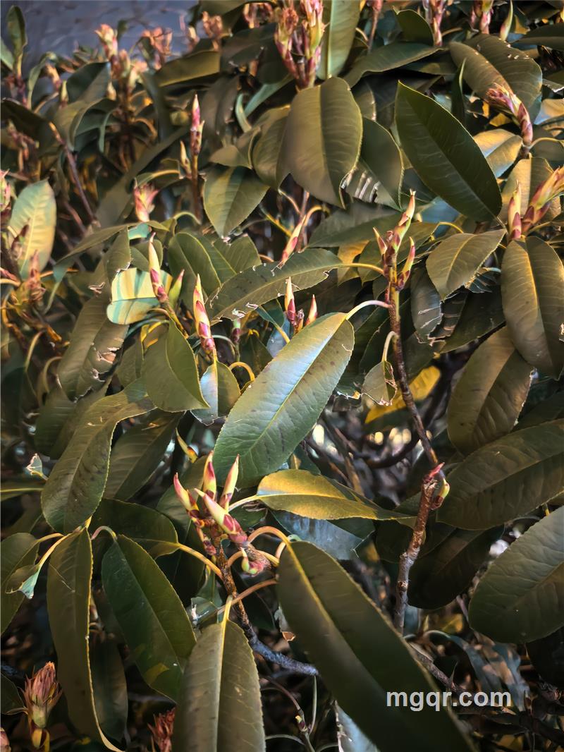 股市提款机-财富自由的第1张照片