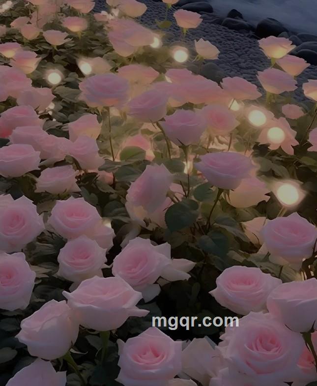 情网单身花的第8张照片