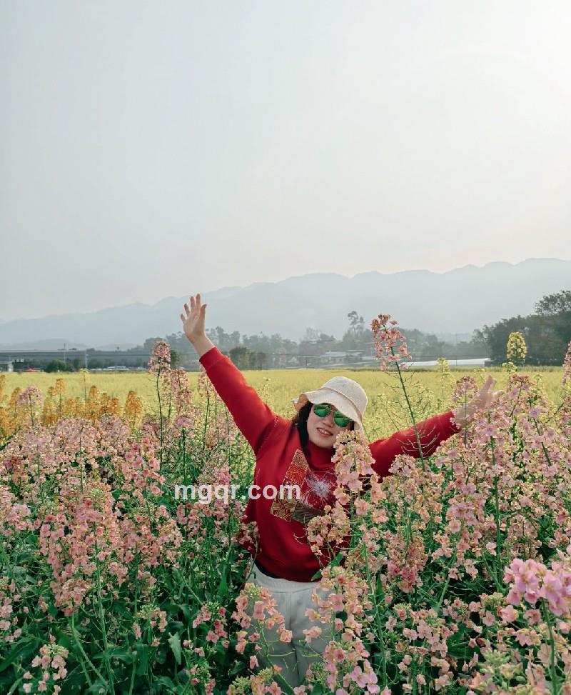 你姐姐的第3张照片