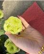 缘份的第6张照片