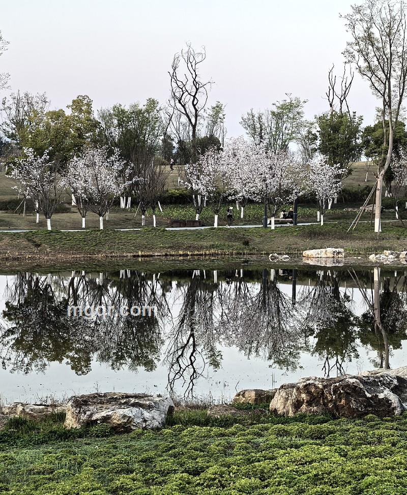 醇熟男人的第4张照片