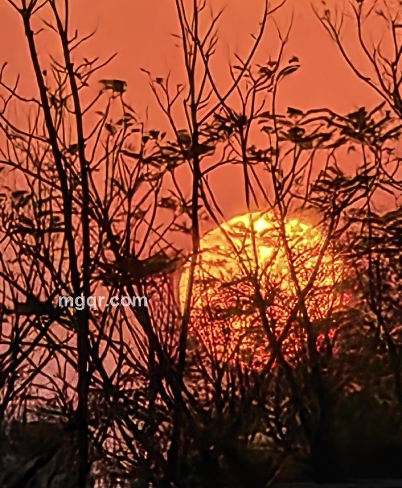 醇熟男人的第3张照片