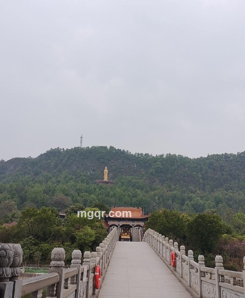 momo的第2张照片