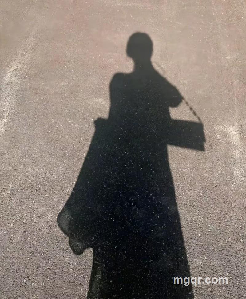 橘子的第1张照片