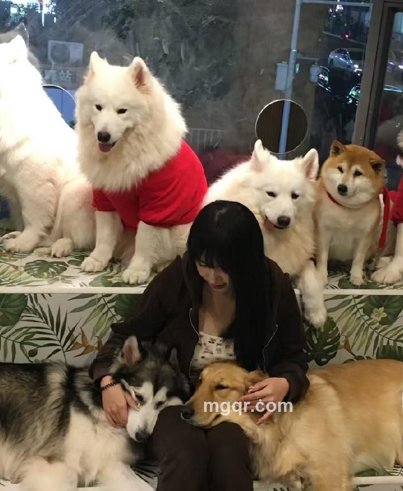 瑞恩的照片