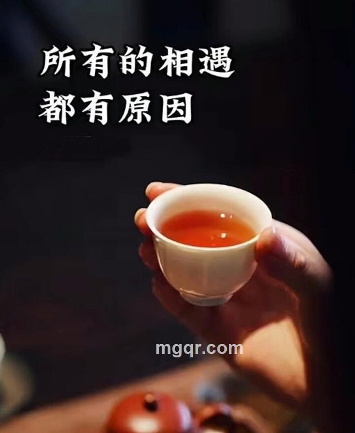 展翅飞翔的第2张照片