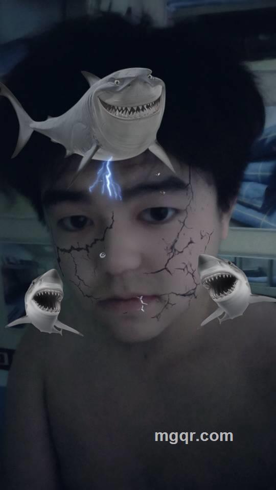会员5493670的照片