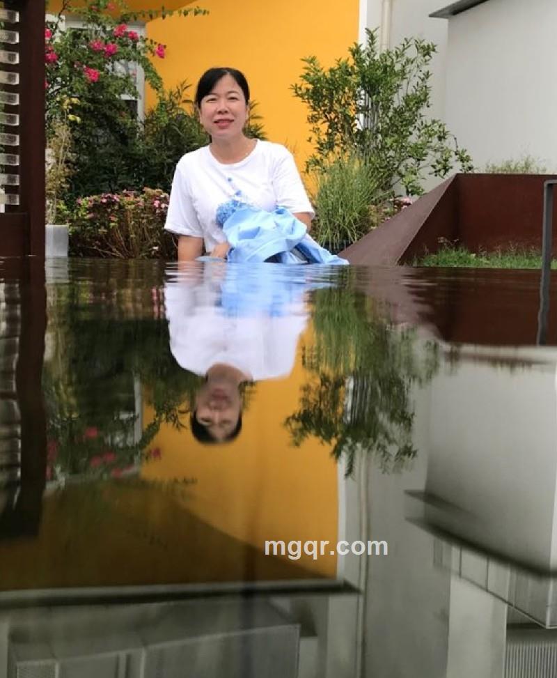 玫瑰的照片