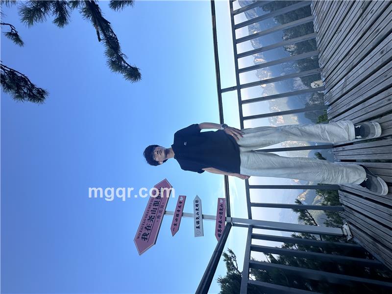 故事梗概的照片