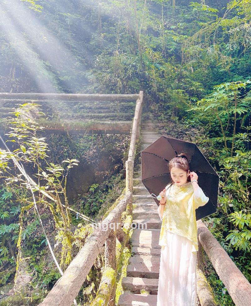 会员5472580的照片