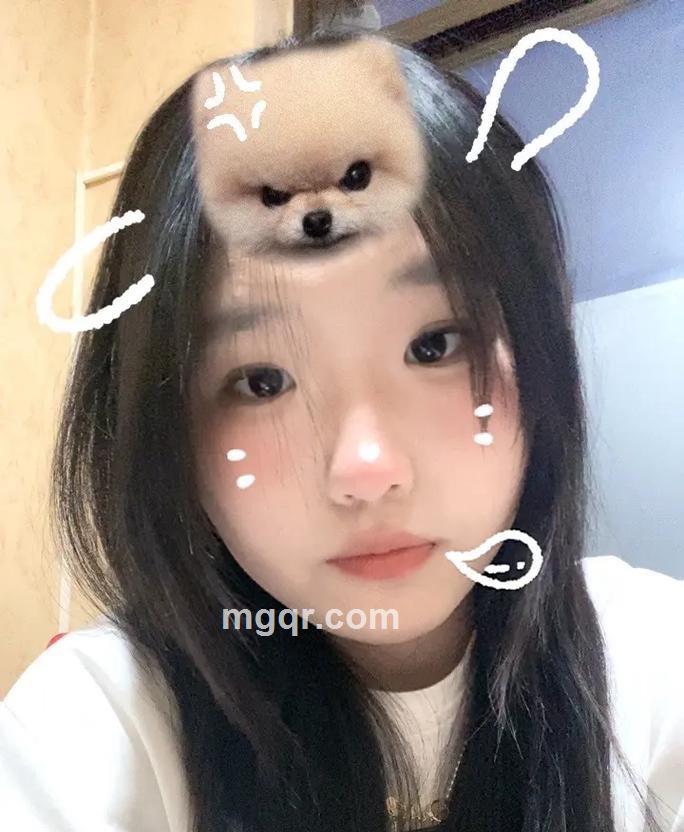 樱桃红了的照片