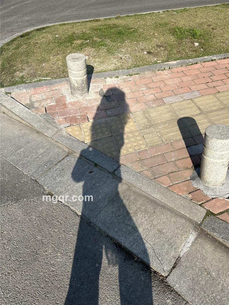 会员5496573的照片