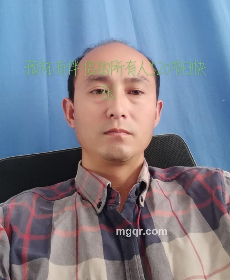 猪的照片