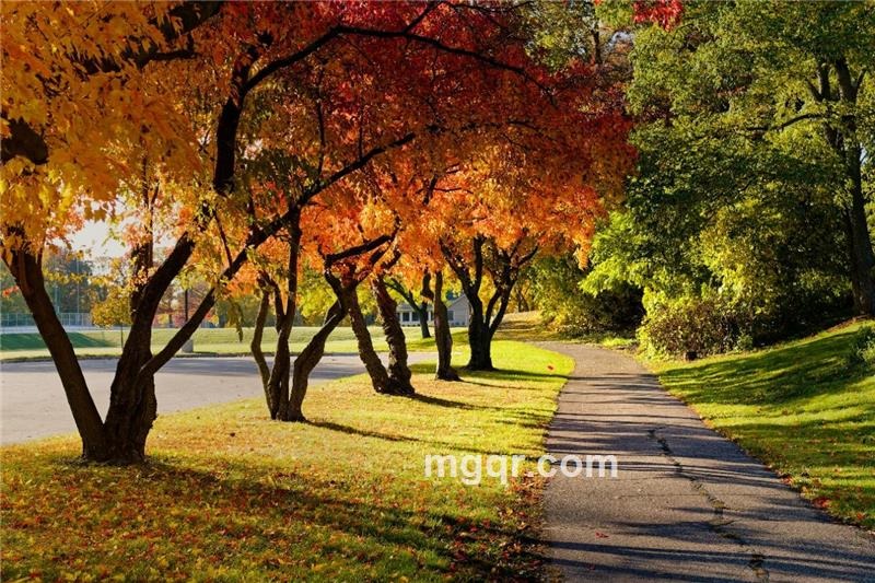 smile_2012的第2张照片