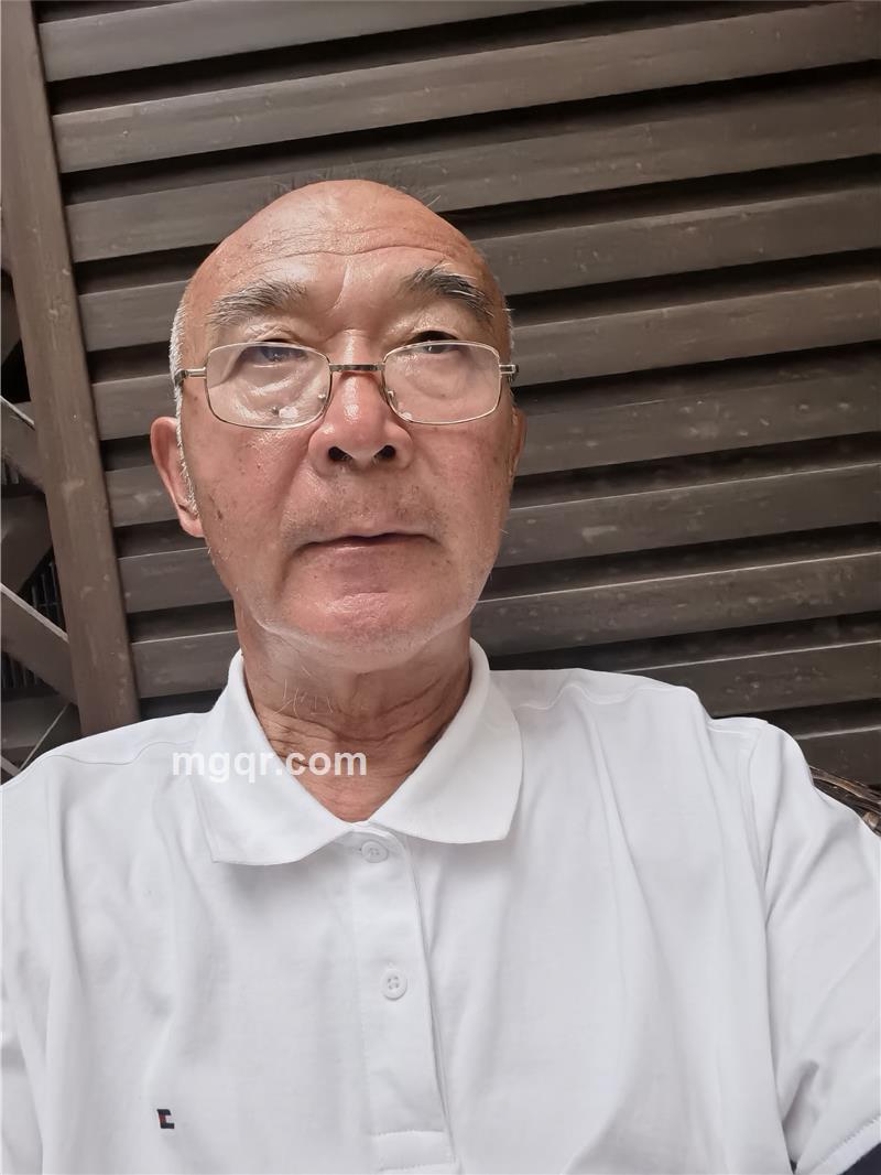 诗和远方的照片