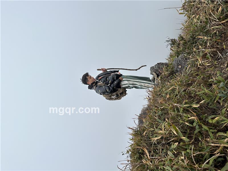 如果可以的照片