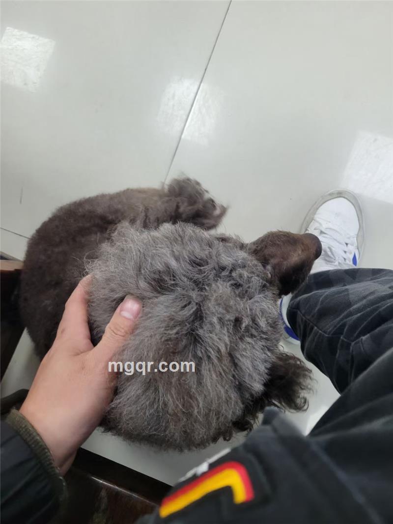 向日葵的微笑的照片