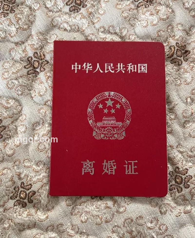 花香惹人醉的照片