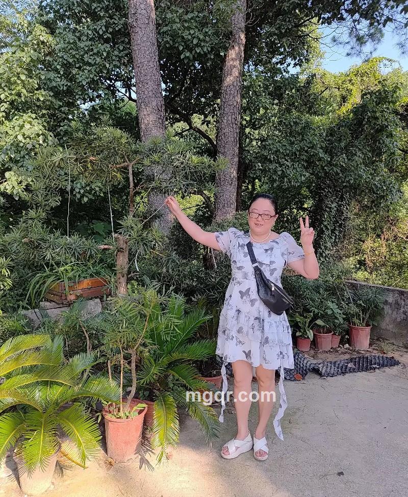 橙子的照片