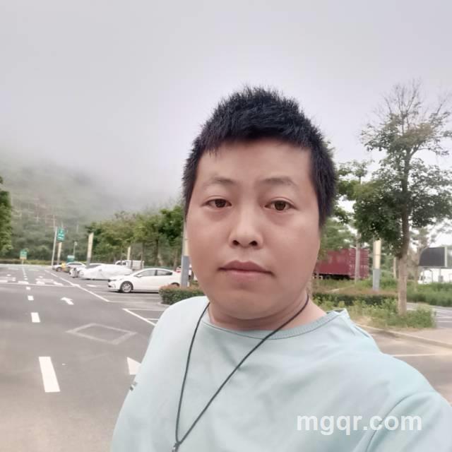 寻搭伙伴侣的照片