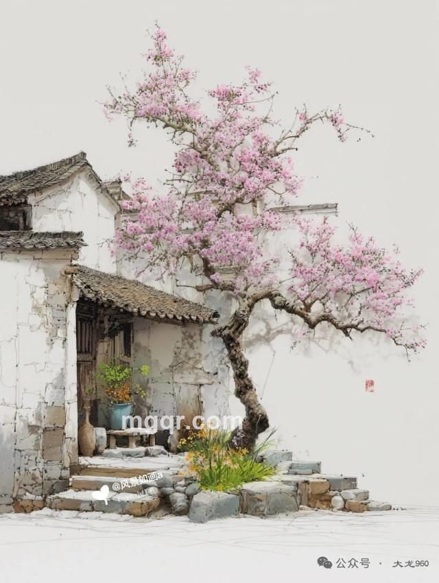 会员5502832的第2张照片