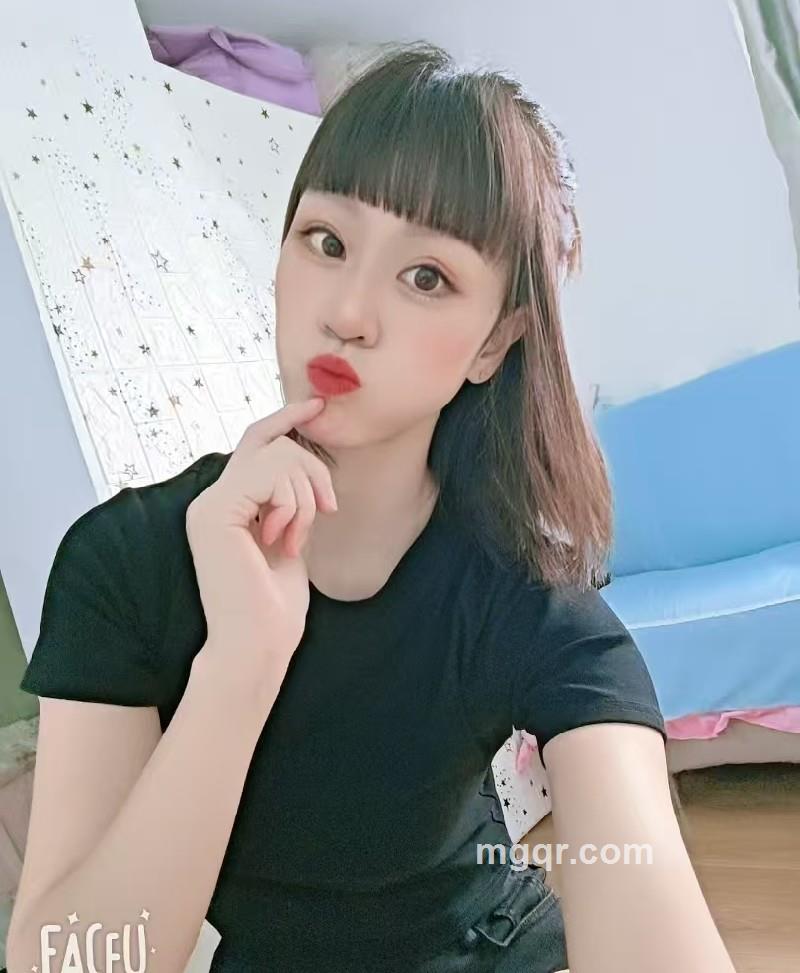 燕子的照片