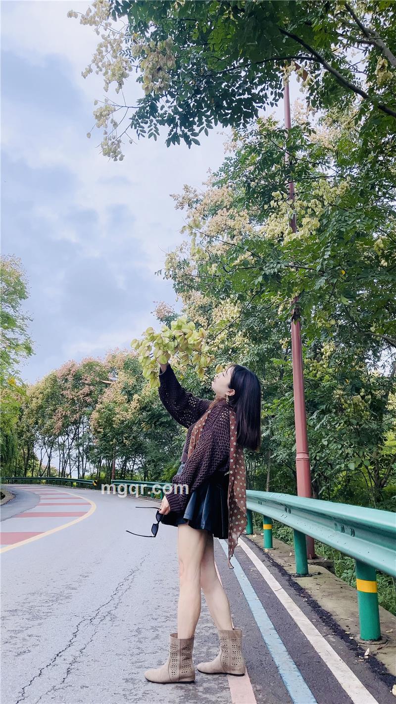 温柔的玫瑰的照片